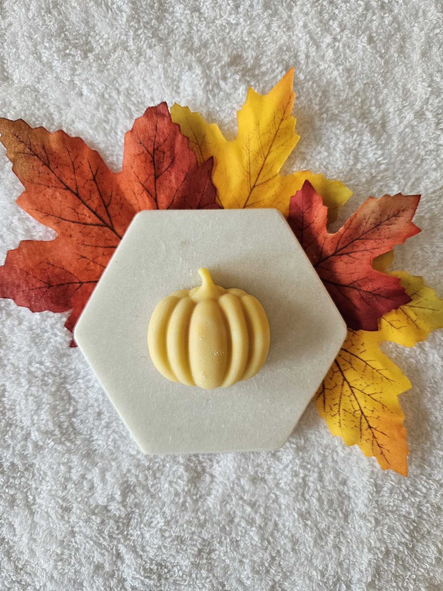 20231016_102306_resized