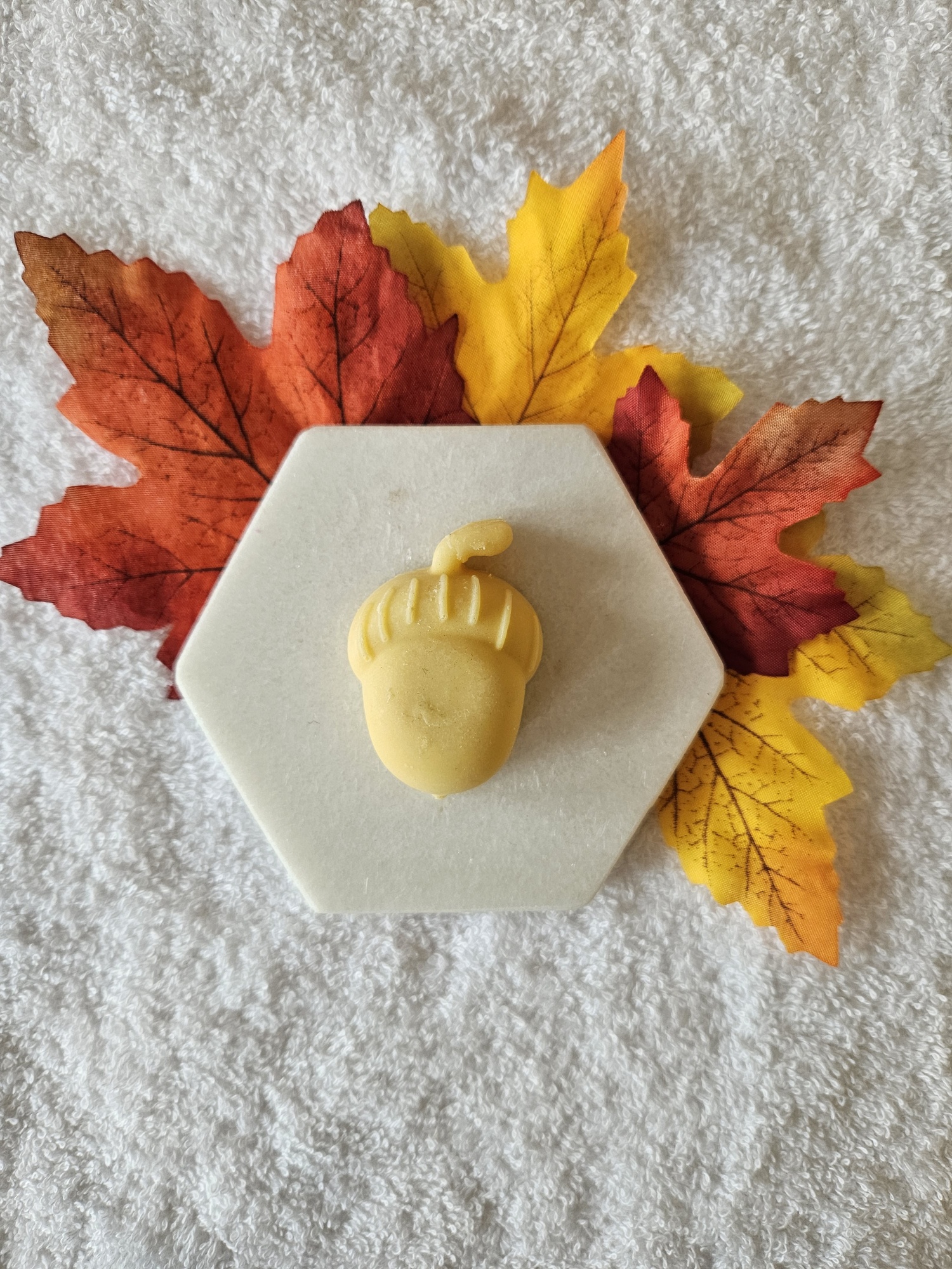 20231016_102314_resized