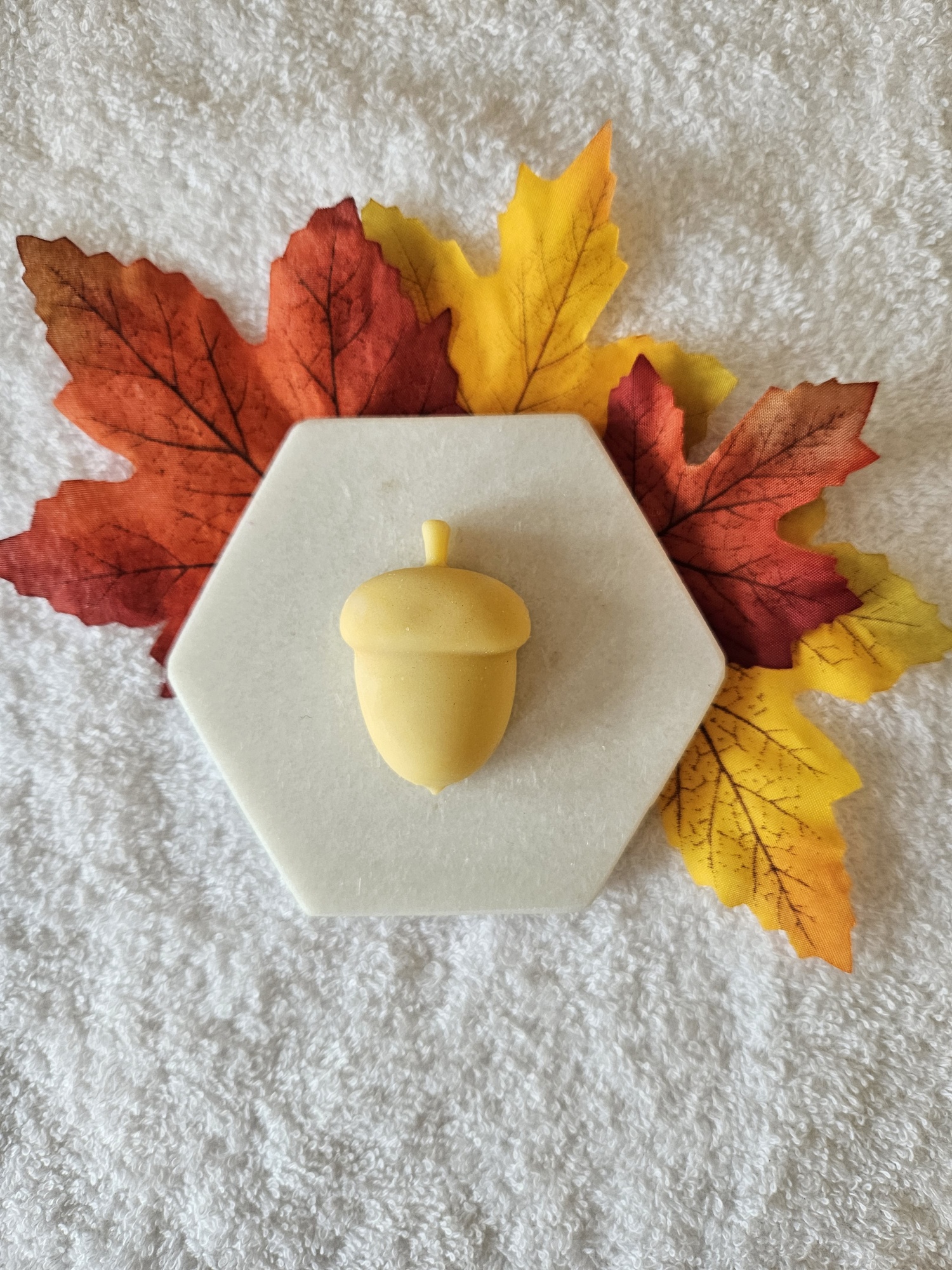 20231016_102321_resized