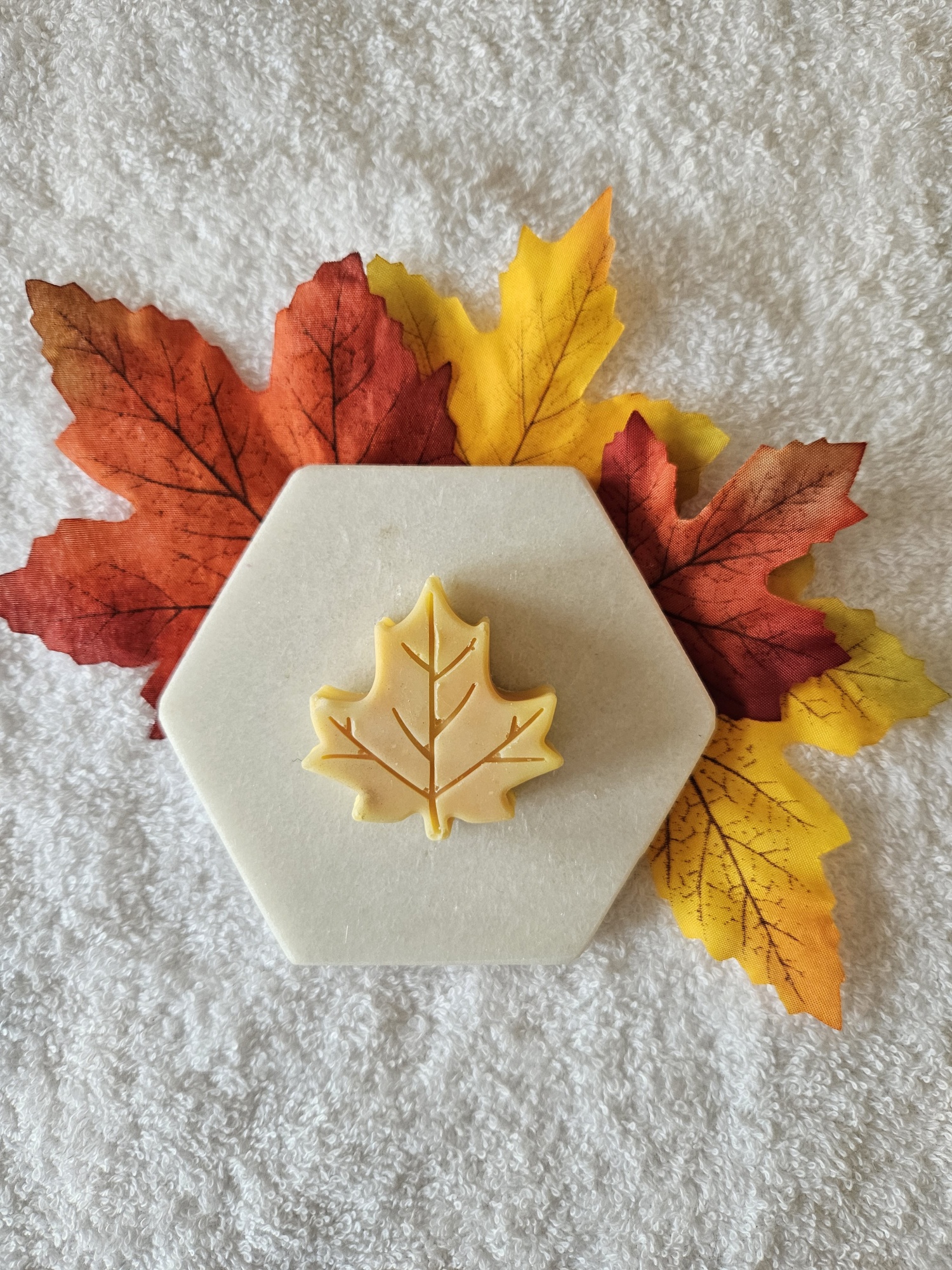 20231016_102330_resized