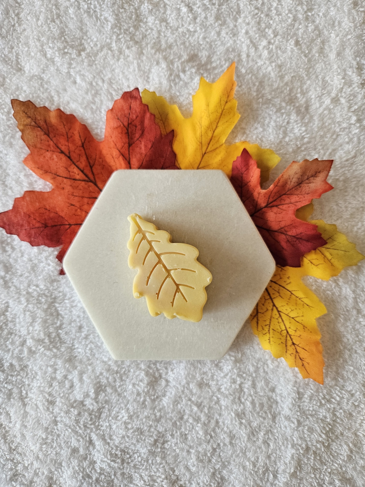 20231016_102338_resized