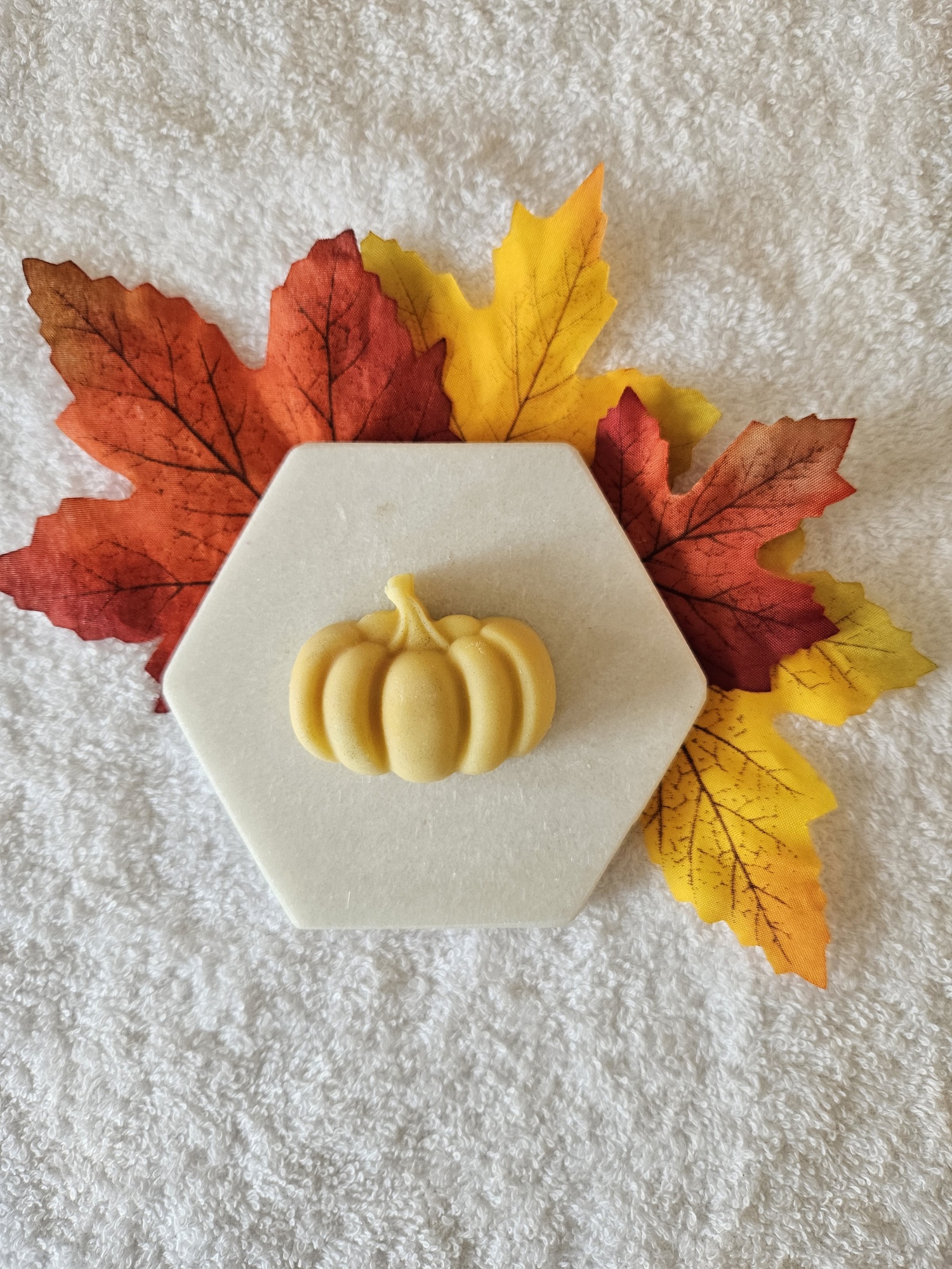 20231016_102403_resized