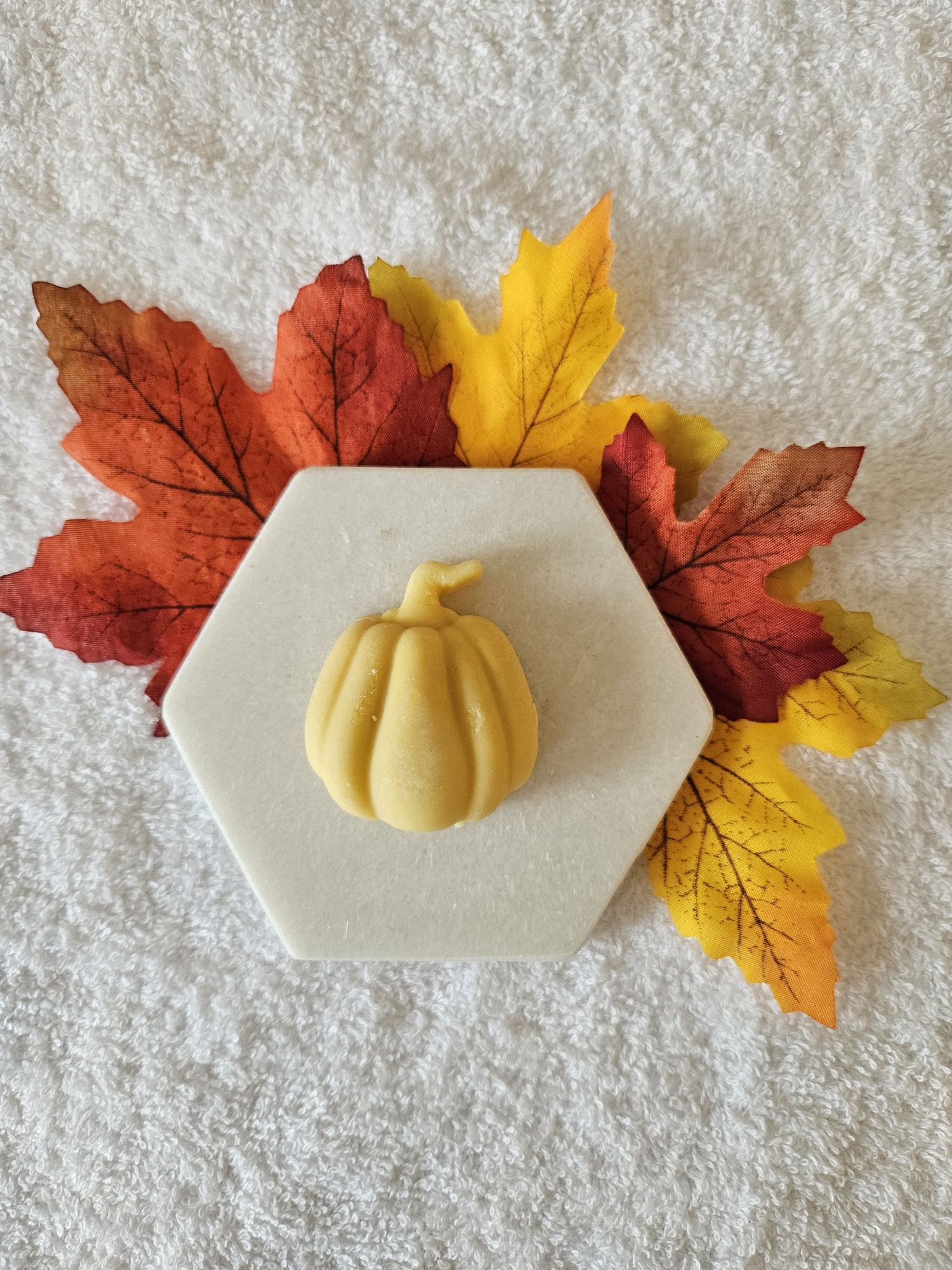 20231016_102411_resized