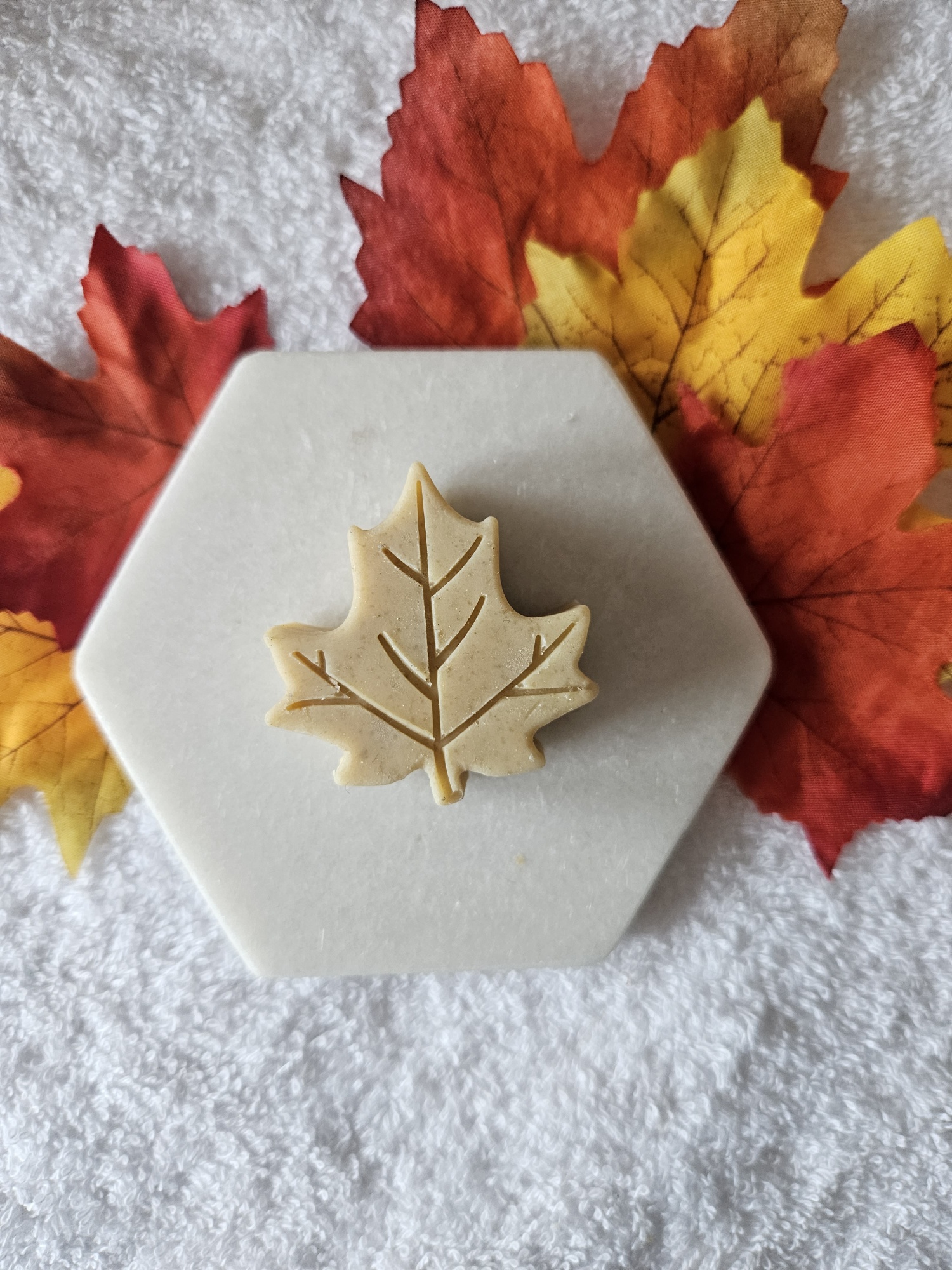 20231016_110700_resized_1