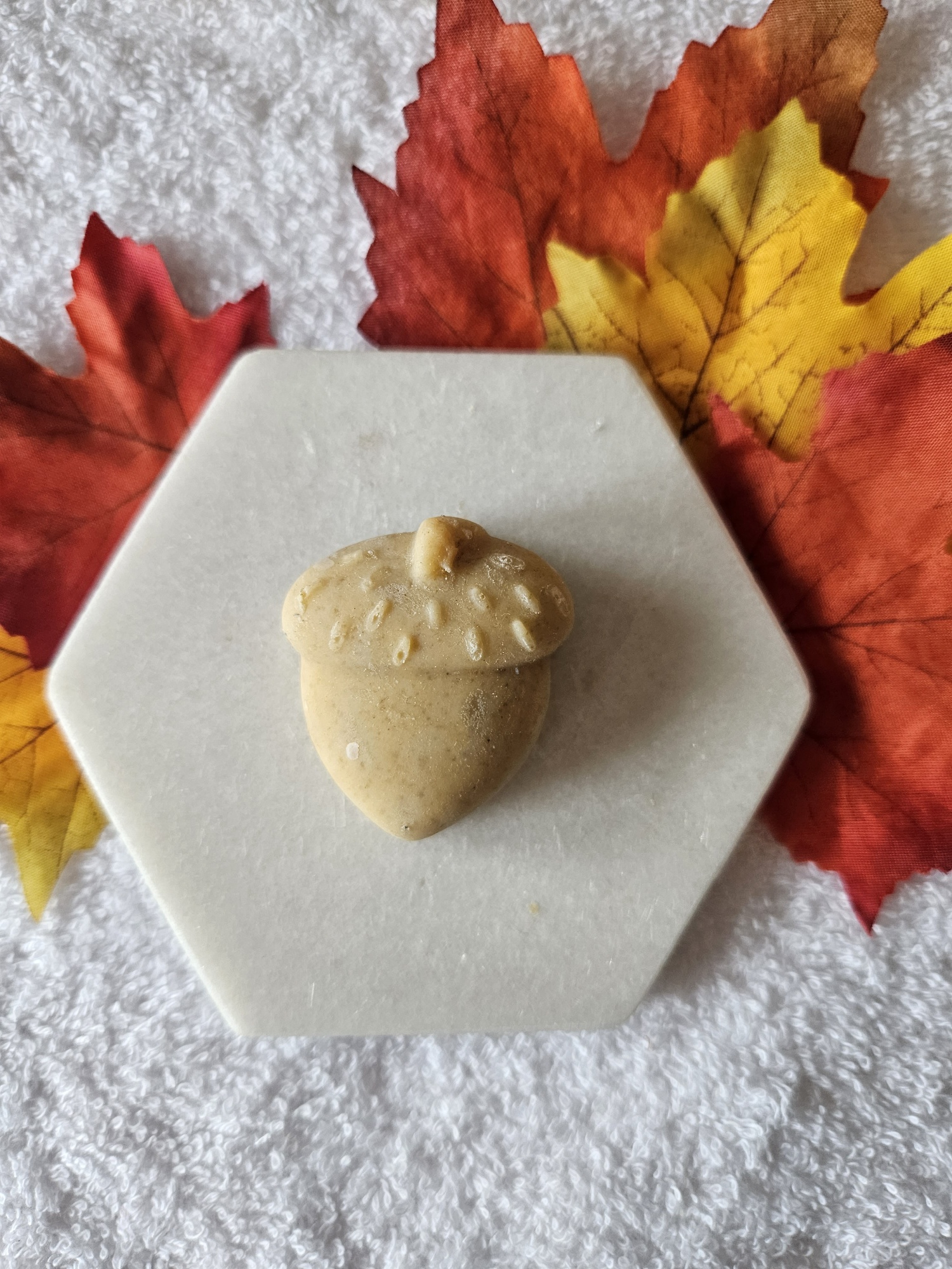 20231016_110724_resized_1