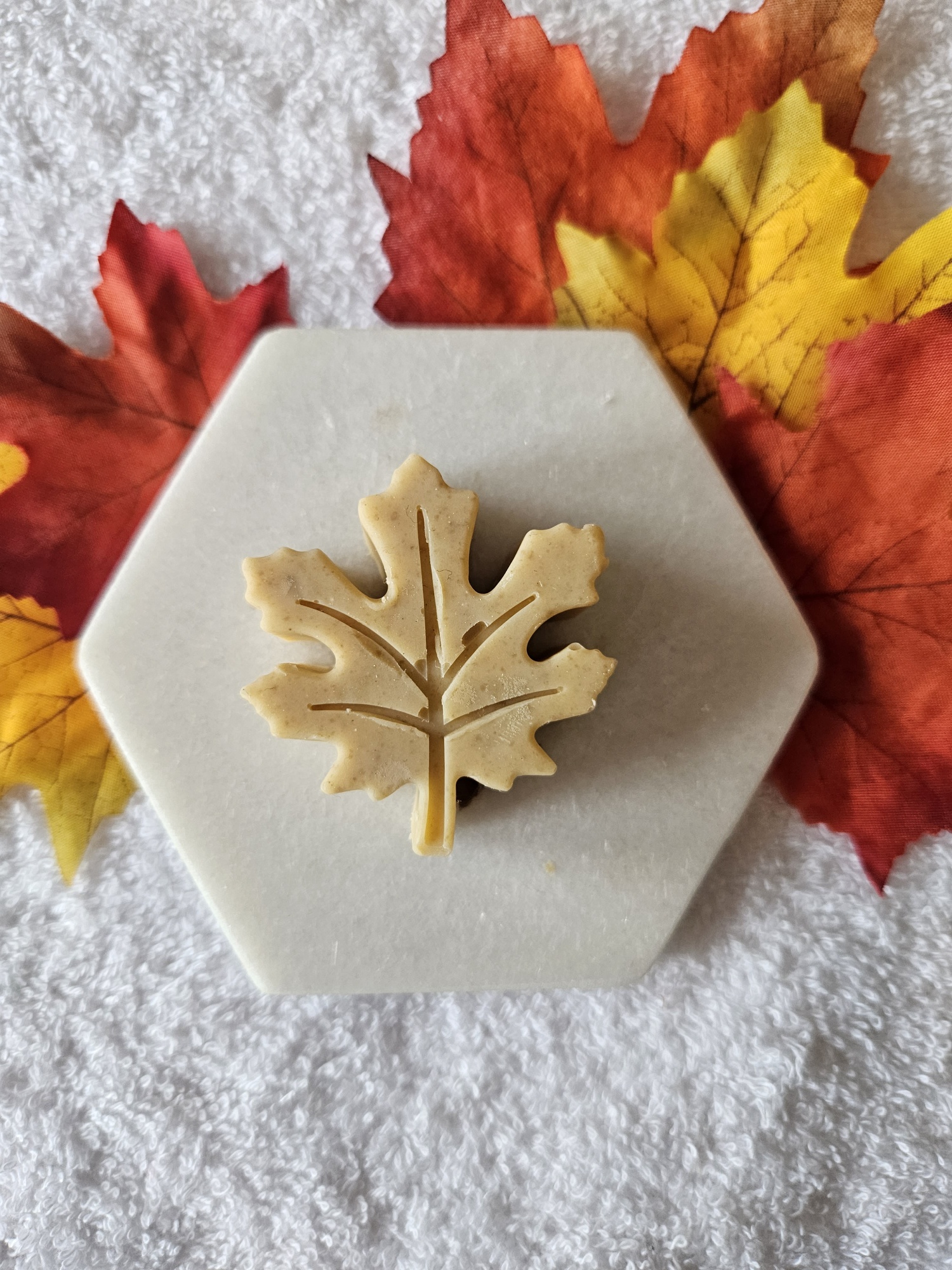 20231016_110847_resized_1